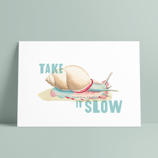 Take it Slow Snail Print - Ditsy Chic