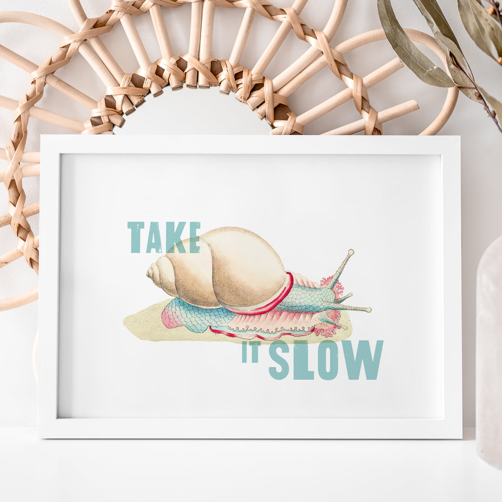Take it Slow Snail Print - Ditsy Chic